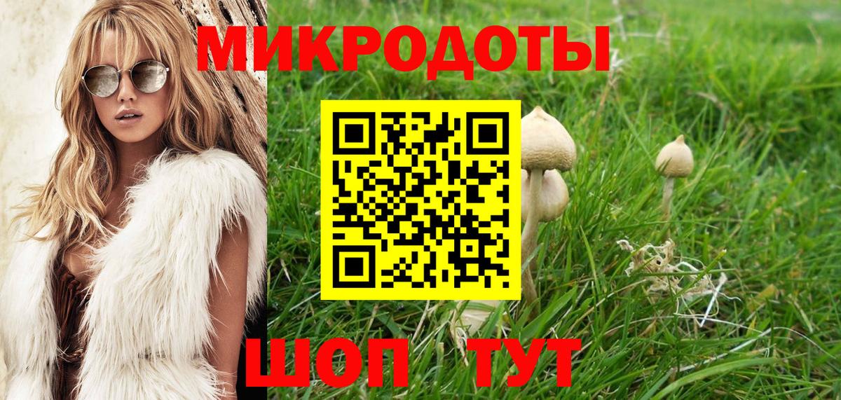 Псилоцибиновые грибы Cubensis Набережные Челны